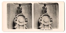 Stereoscopic view npg d'occasion  Expédié en Belgium
