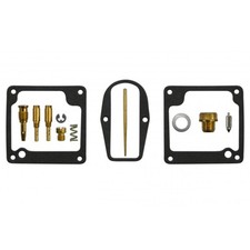 Carburetor repair kit for sale  BRIGHTON
