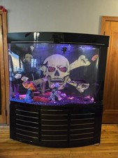 Acrylic aquarium fish for sale  Cadillac