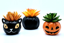 Faux plants halloween for sale  Rochester