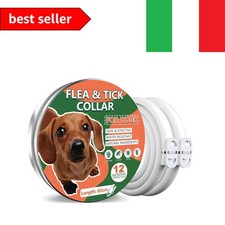 Collare antipulci cane usato Collare antipulci cane usato  Correggio