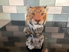 Tiger head 18cm for sale  WOODBRIDGE