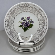 Cunningham pickett springviole for sale  Flower Mound