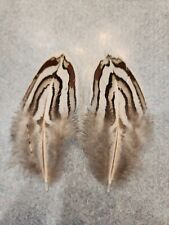 Hybrid silver reeves for sale  Hill City