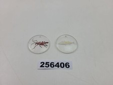Anhänger rund glas gebraucht kaufen  Burgstädt
