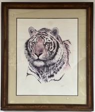 Guy coheleach siberian for sale  Brooklyn