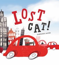 Lost cat hardcover for sale  DUNFERMLINE