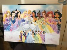 Disney princess stretched for sale  LUTTERWORTH