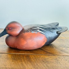 Cinnamon teal duck for sale  Duncan