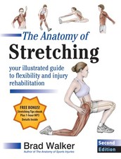 Anatomy stretching second for sale  North Smithfield