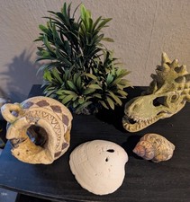 Aquarium deko gebraucht kaufen  Bad Bibra
