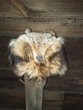 Coyote fur hat for sale  Weippe