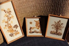 Bild collage trockenblumen gebraucht kaufen Bild collage trockenblumen gebraucht kaufen  Pfedelbach