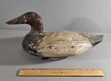 canvasback duck decoys for sale  Hendersonville