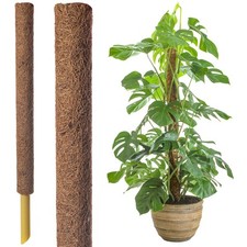 60cm coir moss for sale  UK