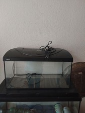 Aufzuchtbecken gebraucht kaufen Aufzuchtbecken gebraucht kaufen  Wuppertal