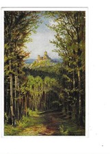 Wartburg blick hohensonne gebraucht kaufen  Elmshorn