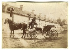 Calèche cheval cocher d'occasion  Anet
