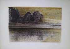 Lithography lithographie litog usato  Pescia