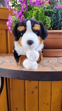 Kuscheltier hund berner gebraucht kaufen  Ehingen (Donau)