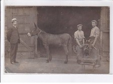 Pisy maréchal ferrand usato Pisy maréchal ferrand usato  Spedire a Italy