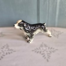 Vintage cocker springer for sale  Reno