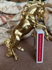 Fighting mustang stallion for sale  Jamestown