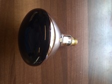 infrarotlampe 250w gebraucht kaufen infrarotlampe 250w gebraucht kaufen Rathenow-Umland