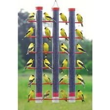 Finches favorite tube for sale  Mahomet