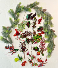 Lot christmas berry for sale  Anaheim