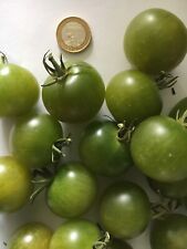 Green doctors bio gebraucht kaufen  Berlin