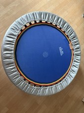 Trampolin trimilin miniswing gebraucht kaufen  Leonberg