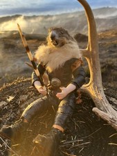 Taxidermy art doll for sale  North Bend