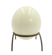 Vintage ostrich egg for sale  Browerville