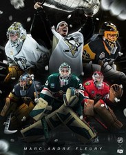 Foto de hóquei Marc-Andre Fleury colagem aposentadoria pinguins selvagens 8x10 NHL comprar usado  Enviando para Brazil