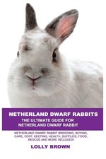 Netherland dwarf rabbits for sale  USA