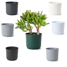 Blumentopf pflanztopf übertop gebraucht kaufen  Küstrin-Kietz