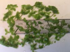 Aquarium floating micro for sale  LLANRWST