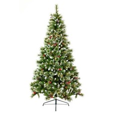 Tree company christmas for sale Tree company christmas for sale  SWINDON