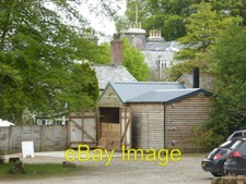 Photo trewithen gardens for sale  FAVERSHAM