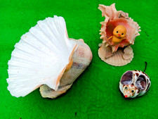 Vintage sea shell for sale  BRADFORD