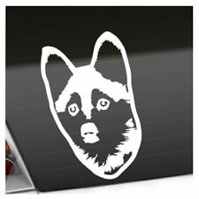 Autocollant pomsky chien d'occasion  Expédié en France