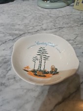 Blakely arizona cactus for sale  Surprise