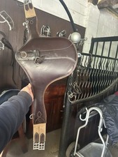 Equipe stud girth for sale  SOUTHAMPTON