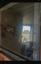 terrarium komplett gebraucht kaufen terrarium komplett gebraucht kaufen Unna