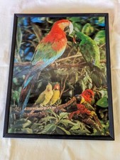 Vintage lenticular macaw for sale  Delaware