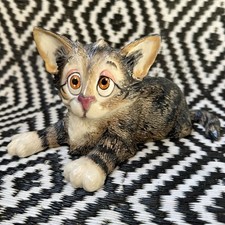 Pets personality little for sale  Flagstaff