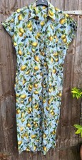 Zara pear fruit for sale  CARRICKFERGUS