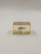 Inclusion vintage poisson d'occasion  Roanne