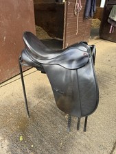 Albion slk dressage for sale  KILMARNOCK
